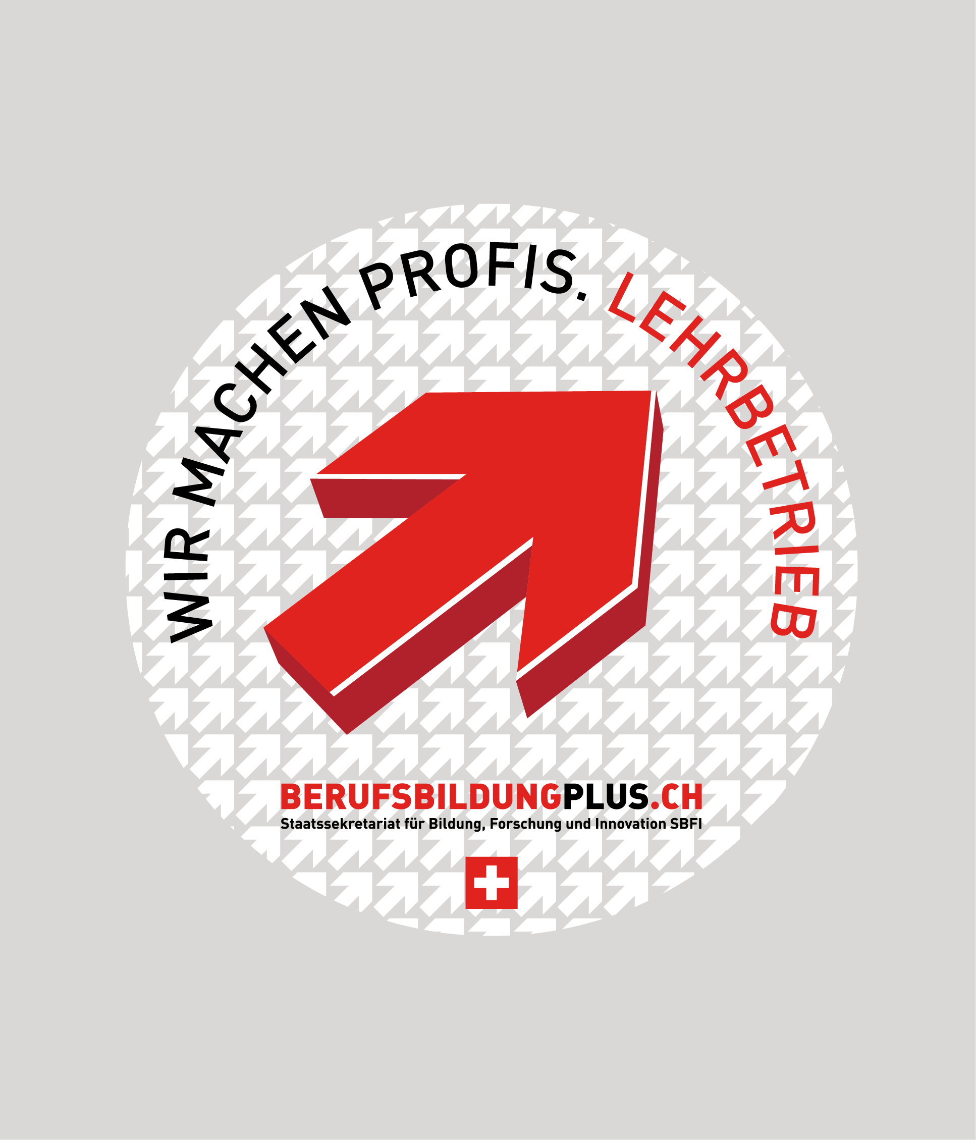 AusundWeiterbildung_Vignette.png AusundWeiterbildung_Vignette